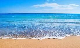 Hình ảnh nguồn Internet